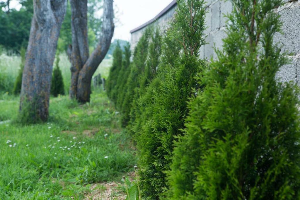 Kuca Za Odmor Marija Villa Vrhovine Exterior foto